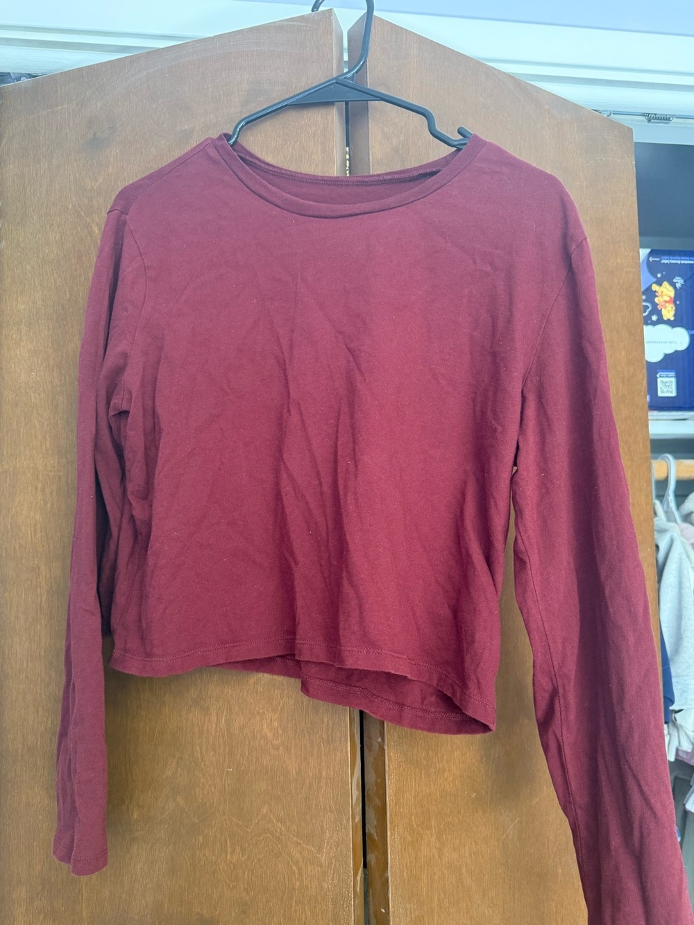 wild fable Long-Sleeve Crewneck Top in Burgundy